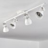 Plafonnier Salinas LED Blanc, 4 lumières