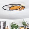 Plafonnier Cardozo LED Écru, Noir, 1 lumière