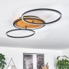Plafonnier Cardozo LED Écru, Noir, 1 lumière