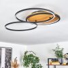 Plafonnier Cardozo LED Écru, Noir, 1 lumière
