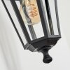 Applique murale d'extérieur Loria Noir, 1 lumière