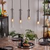 Suspension Caimitte Clair, Fumé, 4 lumières