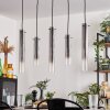 Suspension Caimitte Clair, Fumé, 5 lumières