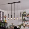 Suspension Caimitte Clair, Fumé, 5 lumières