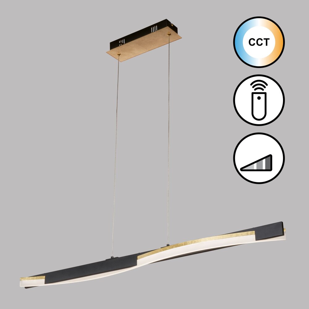 Suspension Fischer & Honsel Bridge LED Noir, 1 lumière, Télécommandes main product photo