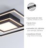 Plafonnier Leuchten-Direkt ASMIN LED Noir, 1 lumière