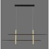 Suspension Paul Neuhaus BARRA LED Or, Noir, 1 lumière