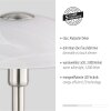 Lampe de table Paul Neuhaus ENOVA LED Argenté, 1 lumière