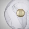 Lampe de table Paul Neuhaus ENOVA LED Laiton, 1 lumière