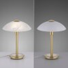 Lampe de table Paul Neuhaus ENOVA LED Laiton, 1 lumière