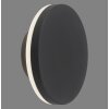Applique murale d'extérieur Paul Neuhaus PUNTUA LED Anthracite, 1 lumière