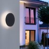 Applique murale d'extérieur Paul Neuhaus PUNTUA LED Anthracite, 1 lumière