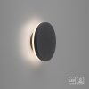 Applique murale d'extérieur Paul Neuhaus PUNTUA LED Anthracite, 1 lumière