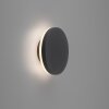 Applique murale d'extérieur Paul Neuhaus PUNTUA LED Anthracite, 1 lumière