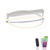 Plafonnier Paul Neuhaus Q-BELUGA LED Argenté, 1 lumière, Télécommandes