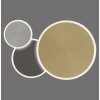Plafonnier Paul Neuhaus Q-PIATO LED Blanc, 1 lumière, Télécommandes