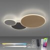 Plafonnier Paul Neuhaus Q-PIATO LED Blanc, 1 lumière, Télécommandes
