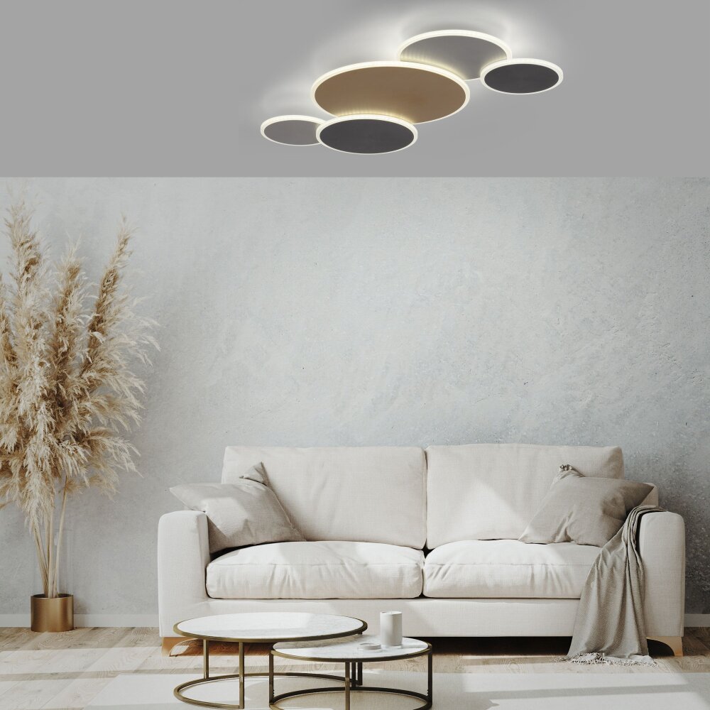 Plafonnier Paul Neuhaus Q-PIATO LED Blanc, 1 lumière, Télécommandes main product photo