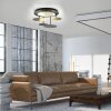 Plafonnier Paul Neuhaus Q-PIATO LED Blanc, 1 lumière, Télécommandes
