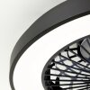 Ventilateur de plafond Brilliant Mazzaro LED Noir, 1 lumière, Télécommandes, Changeur de couleurs