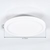 Spot encastrable Pawcatuck LED Blanc, 1 lumière