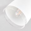 Plafonnier Holualoa LED Nickel mat, 3 lumières