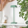 Lampe de table Algeraz LED Vert, 1 lumière