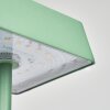 Lampe de table Algeraz LED Vert, 1 lumière