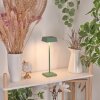 Lampe de table Algeraz LED Vert, 1 lumière