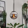 Suspension - Verre Gastor Chrome, Fumé, 1 lumière