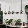 Suspension - Verre Gastor Chrome, Fumé, 5 lumières