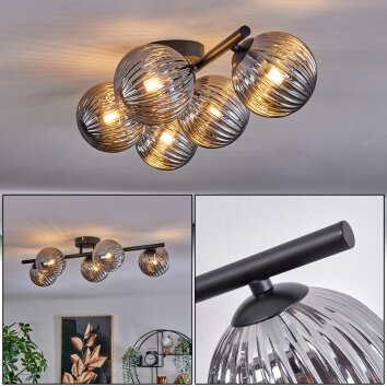 Plafonnier Chehalis Fumé, 5 lumières