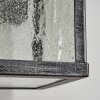 Applique murale d'extérieur Tieva Noir, Argenté, 1 lumière