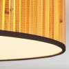 Plafonnier Parbiak LED Blanc, 1 lumière