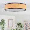 Plafonnier Parbiak LED Blanc, 1 lumière