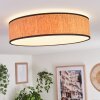 Plafonnier Parbiak LED Blanc, 1 lumière