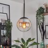 Suspension - Verre Gastor Ambre, Clair, 1 lumière