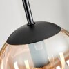 Suspension - Verre Gastor Ambre, Clair, 1 lumière