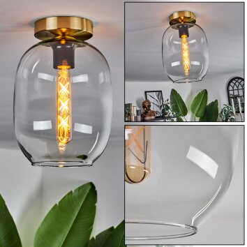 Plafonnier - Verre Apedo Laiton, 1 lumière