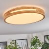 Plafonnier Sofo LED Blanc, 1 lumière, Télécommandes