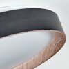 Plafonnier Sassemte LED Blanc, 1 lumière