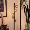 Lampadaire Remaisnil Noir, 5 lumières