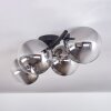 Plafonnier - Verre Chehalis Clair, Fumé, 4 lumières