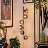 Lampadaire - Verre Remaisnil Noir, 6 lumières