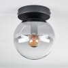 Plafonnier - Verre Gastor Clair, Fumé, 1 lumière