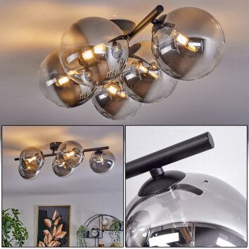 Plafonnier - Verre Chehalis Clair, Fumé, 5 lumières Plafonnier - Verre Chehalis Clair, Fumé, 5 lumières