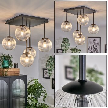 Plafonnier - Verre Chehalis Clair, 5 lumières