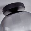 Plafonnier - Verre Apedo Clair, Fumé, 1 lumière