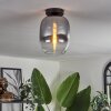 Plafonnier - Verre Apedo Clair, Fumé, 1 lumière