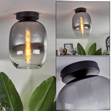 Plafonnier - Verre Apedo Clair, Fumé, 1 lumière